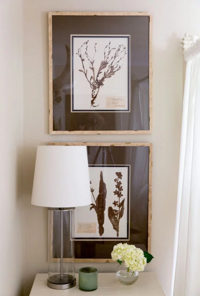 this is an old botanical prints and country decor