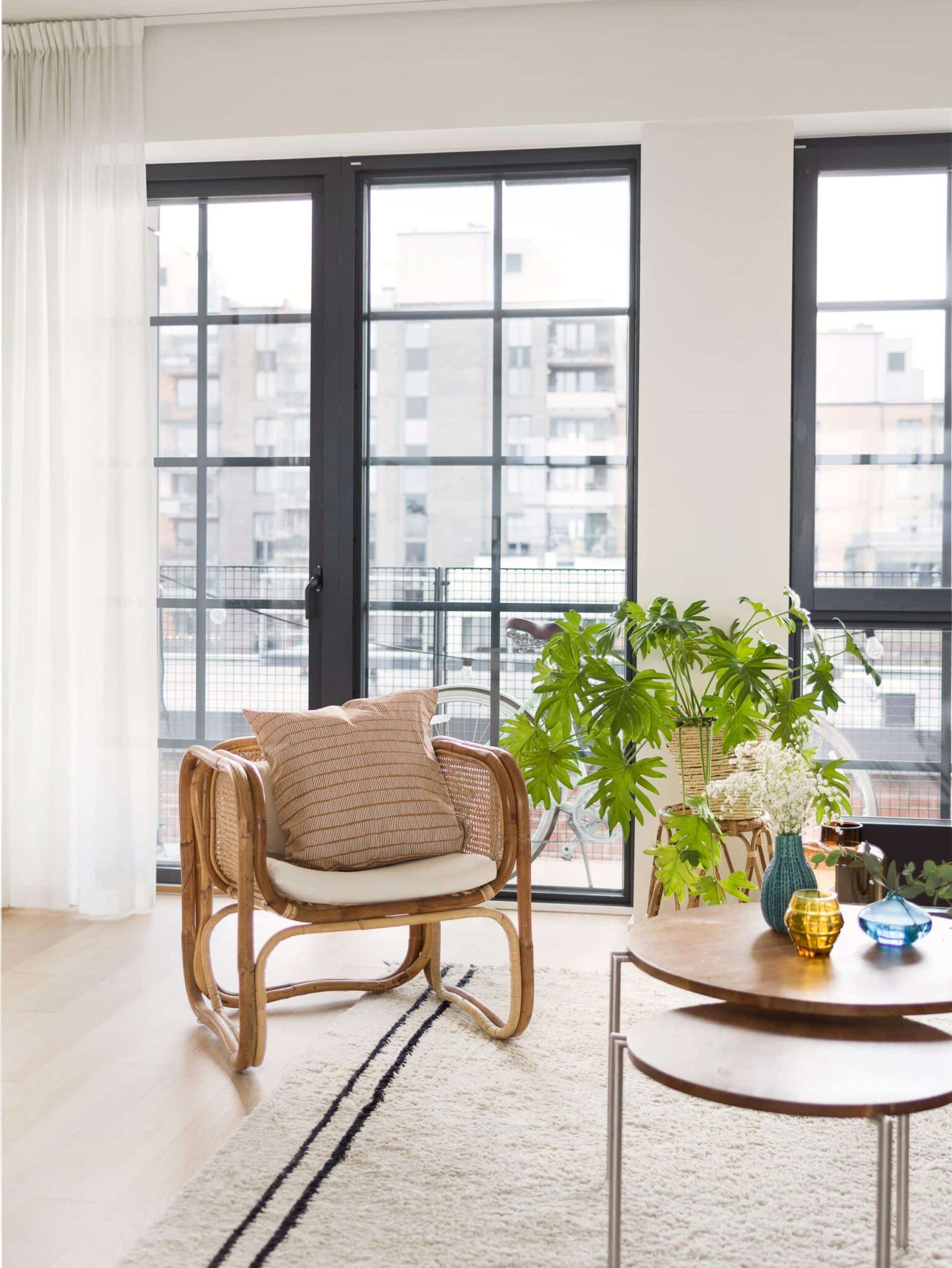12 Stunning Mid Century Modern Indoor Plants for Every Home Nook & Find